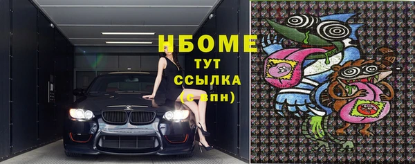 мдпв Абаза