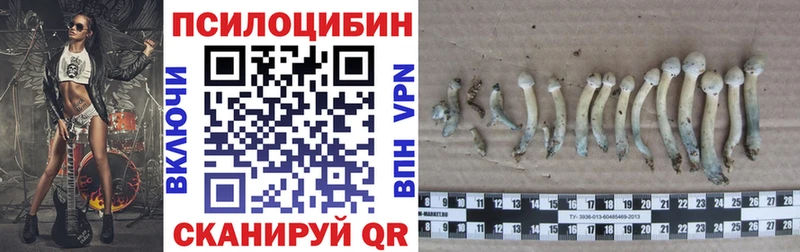 Псилоцибиновые грибы мухоморы  Железноводск 